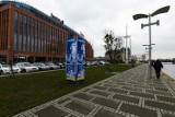 Nowy pawilon stanie na Bulwarze Gdyńskim. Nie wszystkim się to podoba [ZDJĘCIA]