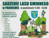 Gmina Mogilno. 1 kwietnia 2023 w Padniewie odbędzie się wspólne sadzenie lasu gminnego. Zaproszenie dla wszystkich chętnych