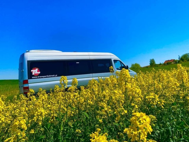 Zbiorowy transport w Sztumie jest oparty o dowozy szkolne, dzięki czemu dociera do najmniejszych miejscowości na obszarze gminy.