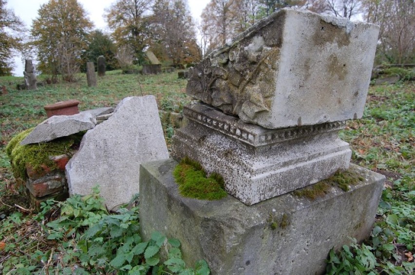 Menonicki cmentarz w Różewie, niedaleko Nowego Dworu...