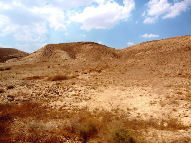 Terytorium Pustyni Judzkiej podzielone jest między Izrael a Autonomię Palestyńską. To g&oacute;rzysta, jałowa pustynia położona we wschodniej części Judei. Fot. Mariusz Michalak