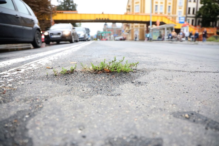 Dziury w ulicach Pocztowej i Piastowskiej w Legnicy, w kilku rosną chwasty