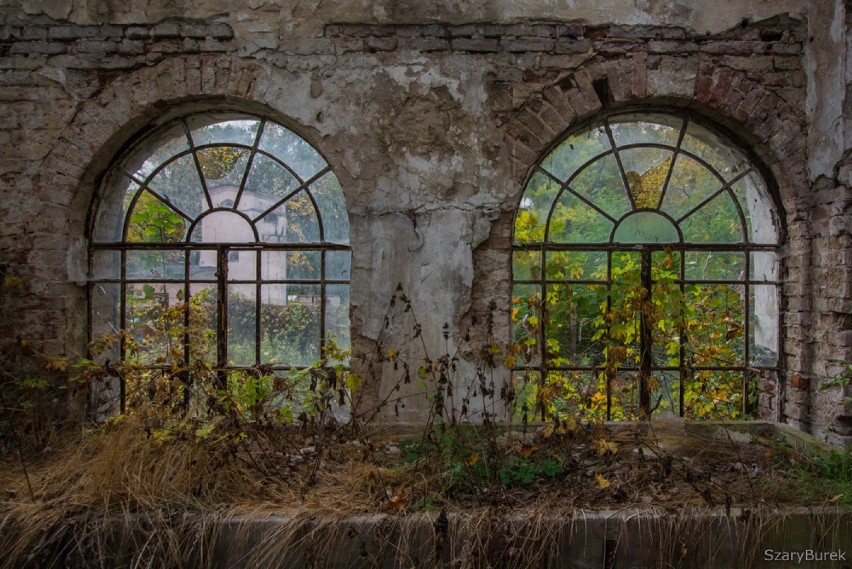 Opuszczone miejsca pod Warszawą. Niesamowity klimat niszczejącej szklarni w obiektywie Szarego Burka