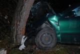 Wypadek w Ustrzykach Dolnych. Pijany kierowca uderzył w drzewo [ZDJĘCIA]