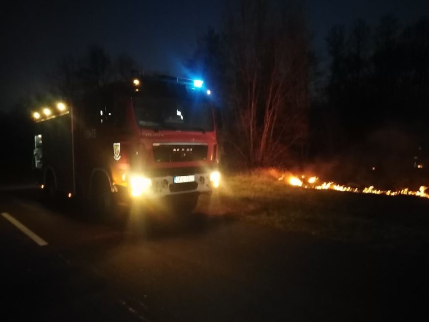Grębocice: Strażacy z OSP walczyli z pożarem traw. ZDJĘCIA