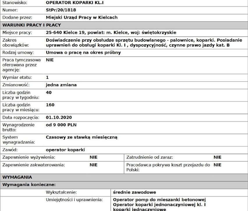 Zobacz oferty pracy z najwyższymi zarobkami w Kielcach [TOP 20] 