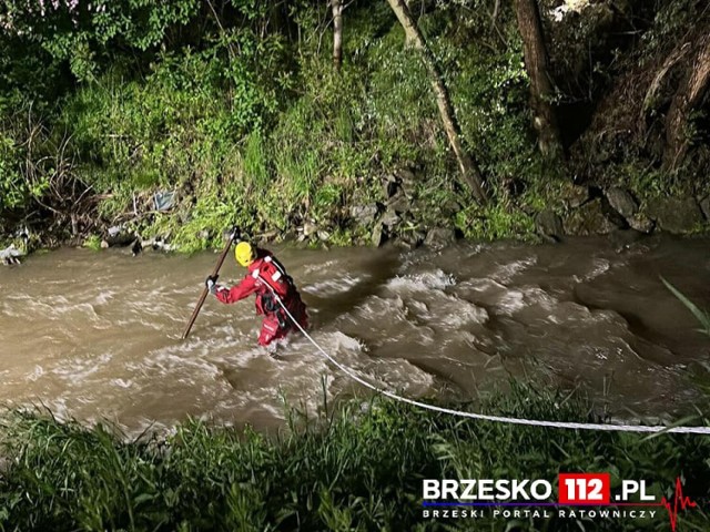 Poszukiwania w rzece i wokół niej prowadziło kilkudziesięciu strażaków. Działania trwały ponad 2,5 godziny w nocy z piątku na sobotę (19 na 20 maja)