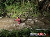 Nocna akcja na Uszwicy. Kilkudziesięciu strażaków z całego regionu szukało osoby, która mogła zostać porwana przez wezbrane wody rzeki 