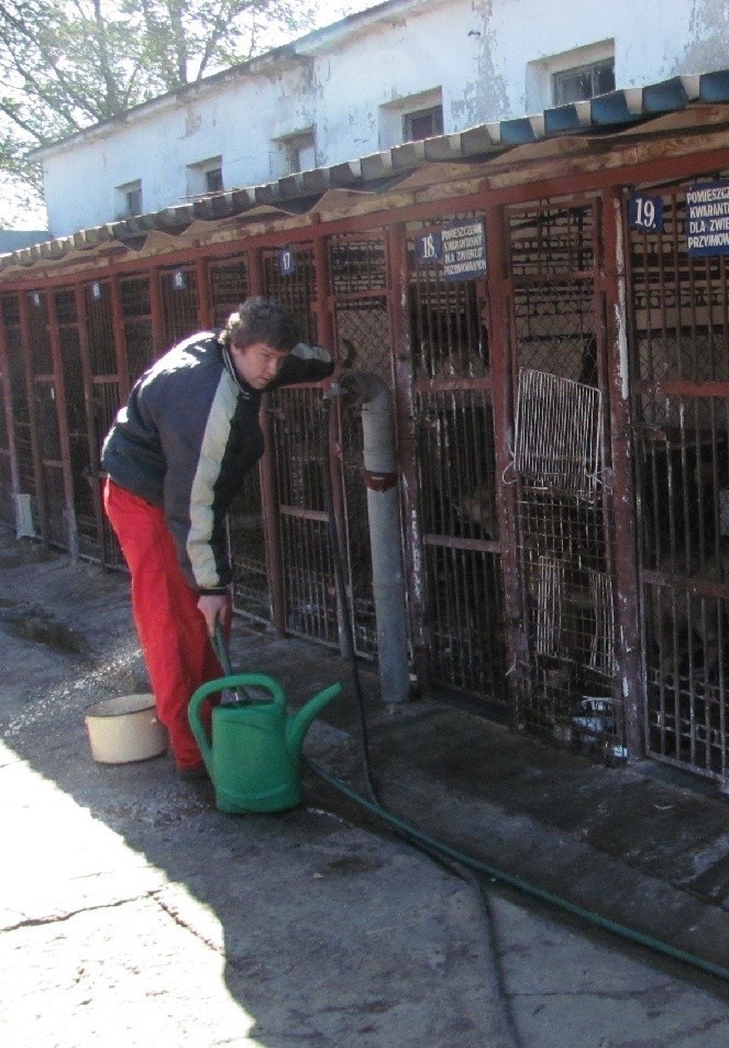 Myszków: pracownicy zabezpieczają psy przed zimnem