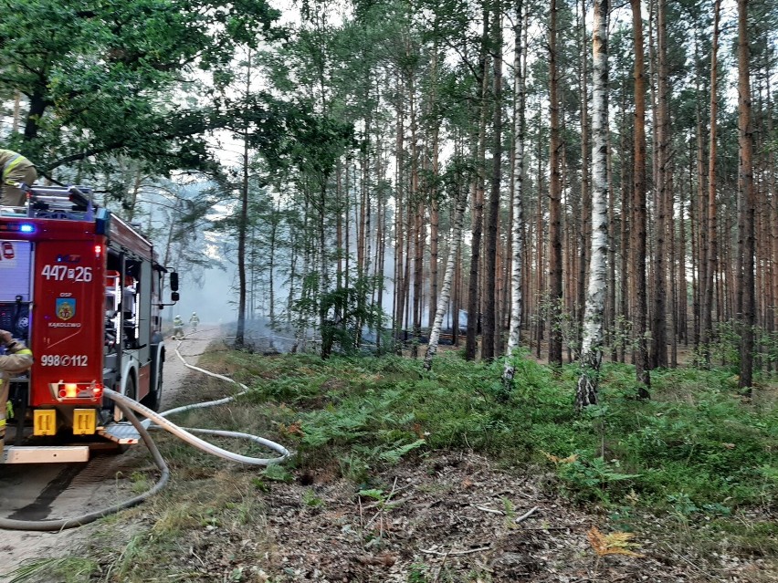 Pilot Aeroklubu Poznańskiego zauważył pożar i zaalarmował służby 