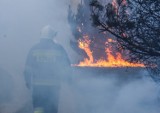 Lasy znów mogą zostać zamknięte. Najwyższy stopień zagrożenia pożarem w Kujawsko-Pomorskiem