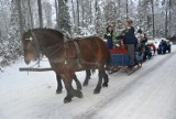 Największy na Kaszubach kulig w Szymbarku! Takiego wydarzenia jeszcze tu nie było!