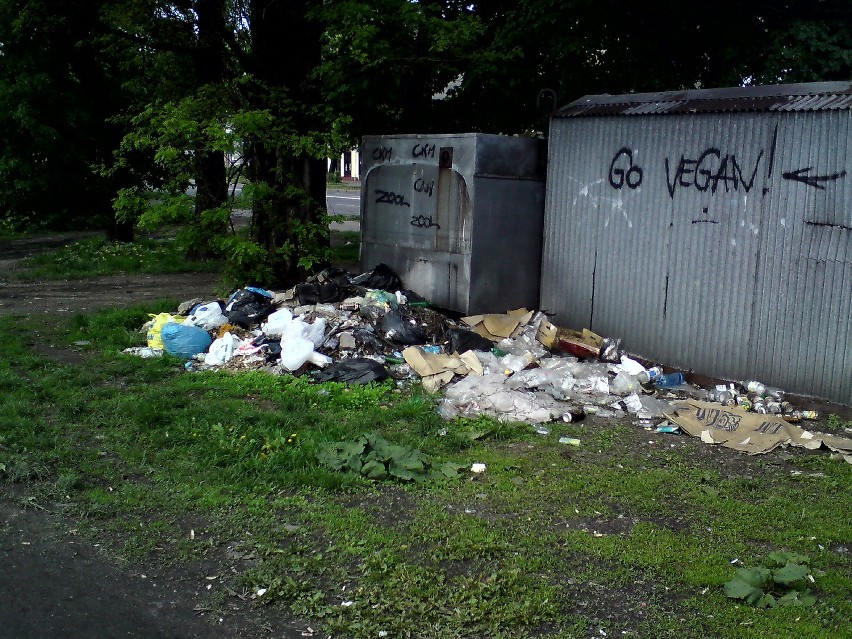 Internauta: Śmietnisko w centrum Częstochowy