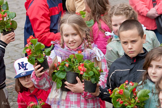 Ułożyli herb z kwiatów