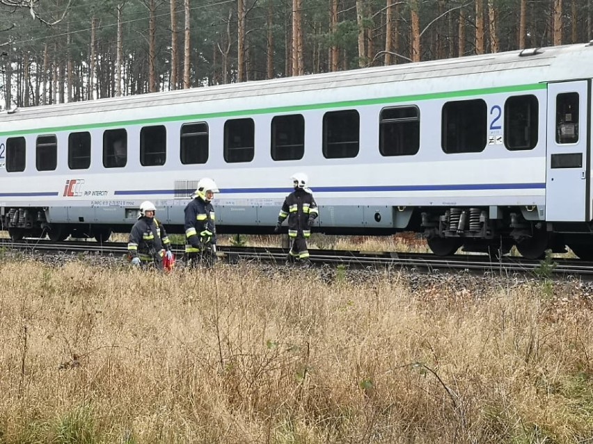 Gmina Zbąszyń. Tir wjechał pod pociąg Intercity. Pięć osób rannych! [NOWE INFO I ZDJĘCIA] 
