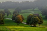 TOP 15 najmniejszych wsi w powiecie nowosądeckim. W tych wsiach żyje najmniej osób