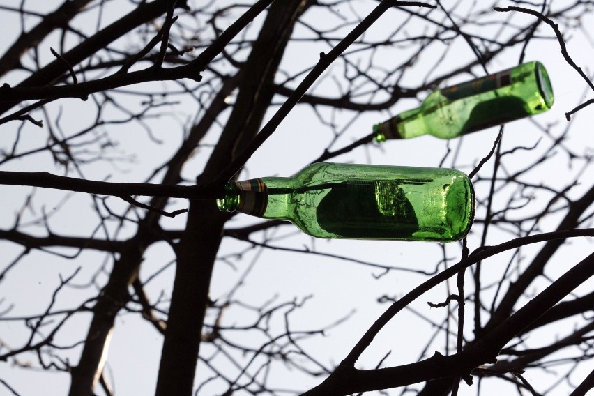 Choinka z butelek
Materiały: 
* 18 pustych zielonych...
