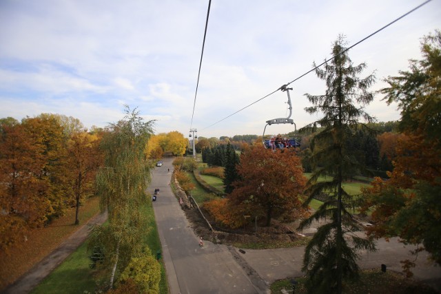 Darmowy internet w Parku Śląskim będzie dostępny od listopada.
