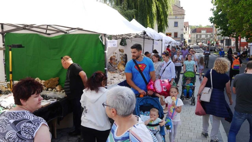 Przed nami Sudeckim Festiwalem Minerałów! Poznajcie program imprezy [ZDJĘCIA]