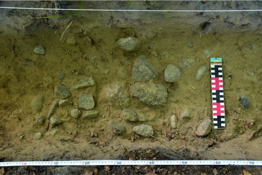 Odkrycie archeologów w Borach Tucholskich