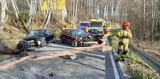 Groźny wypadek pod Tarnowem. W Pleśnej zderzyły się dwa samochody osobowe. W akcji straż, pogotowie i policja [ZDJĘCIA]