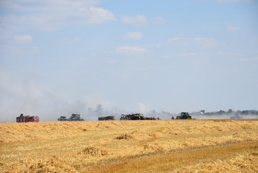 Na polu wybuchł pożar. Interweniowali strażacy z Wrześni i Gniezna [FOTO]