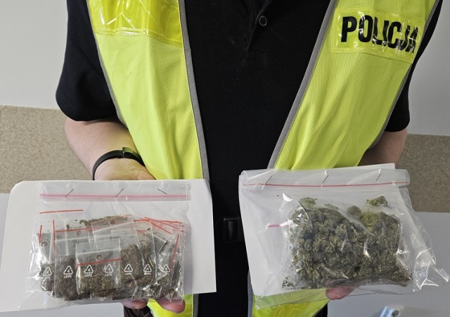 Policjanci z Włocławka znaleźli susz roślinny o charakterystycznym zapachu, który następnie zabezpieczyli. Wstępne badania narkotesterem wykazały, że jest to ponad 360 gramów marihuany