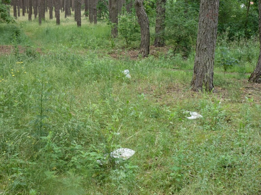Las na Górnym - zielone płuca faszerowane śmieciami [ZDJĘCIA]