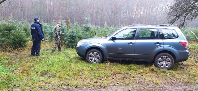 Policjanci i strażnicy leśnie w powiecie inowrocławskim sprawdzają, czy w lasach nie ma nielegalnych wycinek choinek