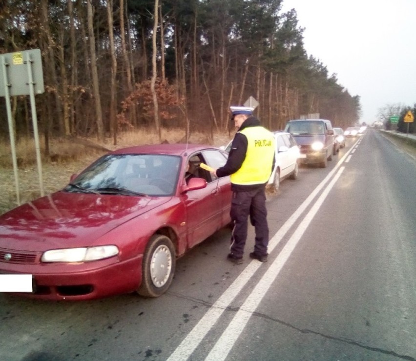 Działania „Trzeźwy kierujący” w powiecie aleksandrowskim. Ponad 1200 kontroli