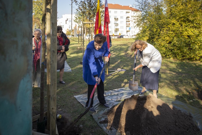 Na Polu Mokotowskim zasadzono 45 jabłonek dla zasłużonych...