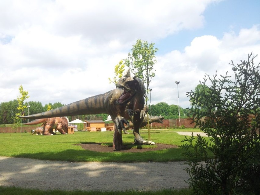Park dinozaurów we Wrocławiu! Otwarty od czwartku (ZDJĘCIA)