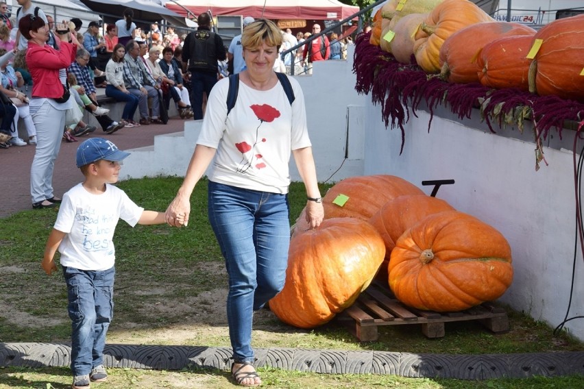 Nad Miedwiem rządzą złote dynie. Na jarmark zjechali mieszkańcy z całego województwa [zdjęcia,wideo]