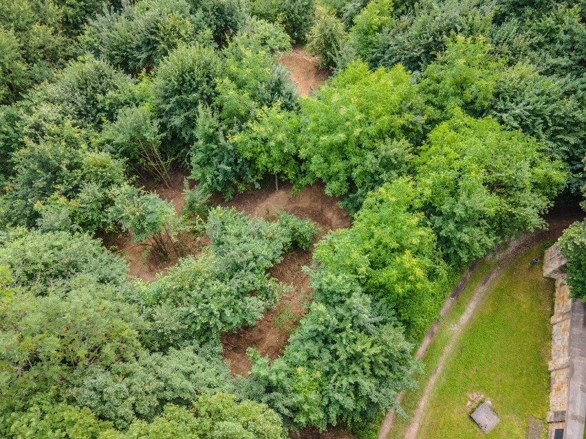 Singletracki to wąskie, zazwyczaj jednokierunkowe, kręte...