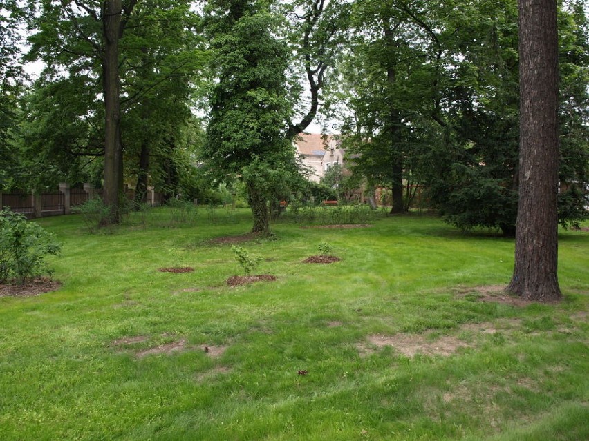 Park Historyczny w Świebodzicach gotowy. To miejsce nie do poznania (ZDJĘCIA) 