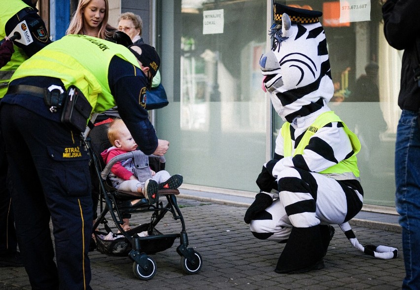 Akcja strażników miejskich w Chorzowie