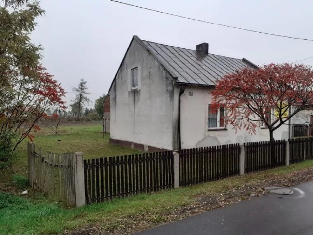 Dom wraz z dużą działką, położony w miejscowości Wilczna tj. 11 km od Słupcy, 19 km od Konina przy drodze 92. Obok domu znajduje się stodoła oraz pomieszczenia gospodarcze. 

LINK DO OFERTY