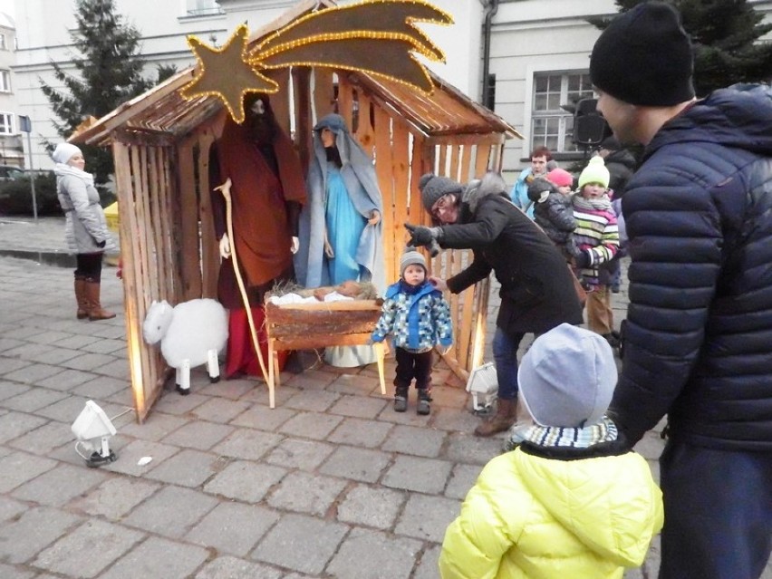 Szopka z żywymi zwierzętami w Kościanie