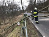 Silny wiatr daje się we znaki. Strażacy interweniowali w dwóch miejscowościach 