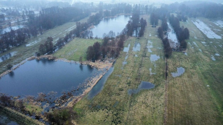 Tak wyglądają zalane pola w gminie Krzeszyce.
