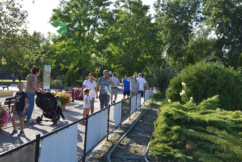 Park Krasnala w sobotę, 3 września. Kwitną już jesienne...