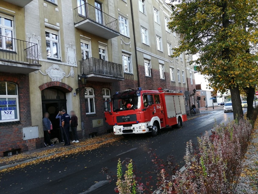 Akcja służb w centrum Leszna. Znaleziono granat z rozsypaną zawartością [ZDJĘCIA]