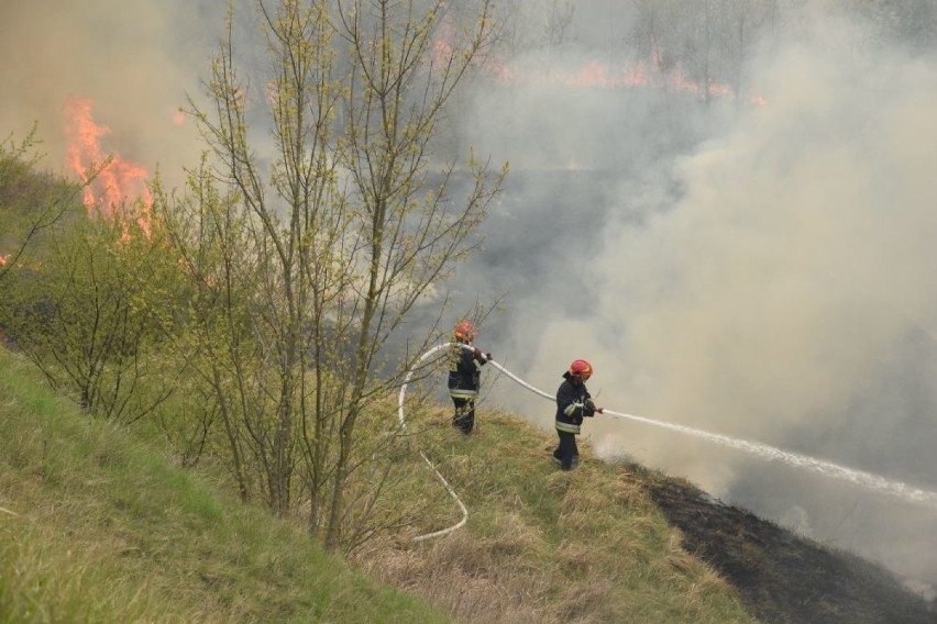 Pożar w Grudziądzu.  Z ogniem walczyły cztery zastępy straży pożarnej