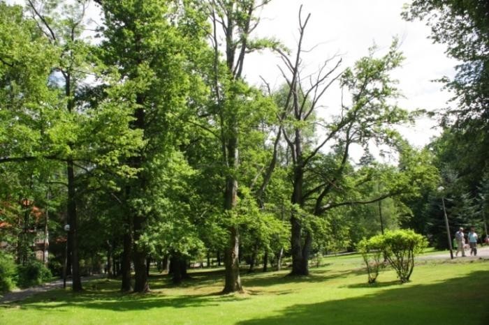 Park Zdrojowy
Powstał w 1898 r. według projektu Karla...