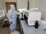 Tańsze testy na koronawirusa w Chrzanowie. To dobra informacja dla osób jadących na zagraniczny urlop 