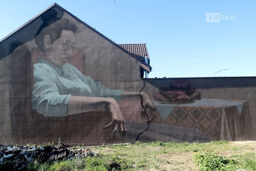 Nowy artystyczny mural w Szczecinie. Powstał na prywatnej posesji w Podjuchach
