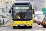 Wszystkich Świętych 2023. Zmiany w organizacji ruchu i kursowaniu autobusów KLA. SPRAWDŹ 
