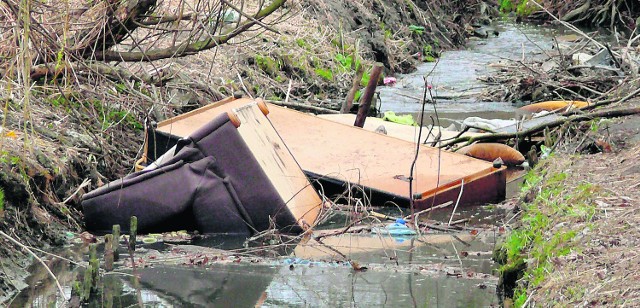 Rzeczka Krępica płynąca przez park osiedlowy czasami przedstawia opłakany widok