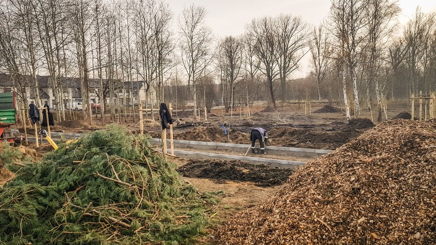 Park przy UE w Lesznie w połowie grudnia 2020