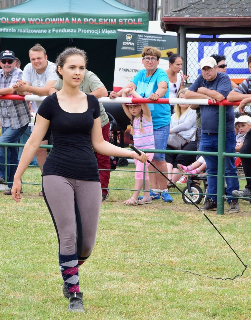 Żuławskie Targi Rolne 2018 w Starym Polu [ZDJĘCIA, FILM]. Maszyny, wystawa zwierząt i czempionat konia sztumskiego